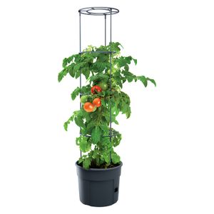 Topf für Tomatenpflanze 12L Pflanzkübel Tomate Grower Tomatenzüchter