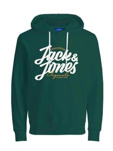 Jack & Jones Kapuzensweatshirt List Hoody mit Kapuze