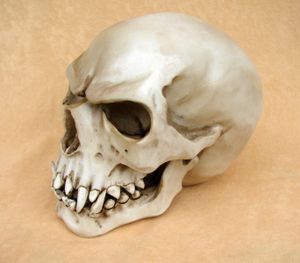 Orc Schädel Markus Mayer Totenkopf Skull Gothic