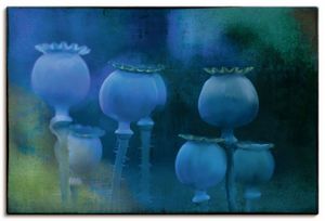 ARTland Leinwandbilder Blaumohn Größe: 90x60 cm