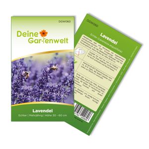 Lavendel Echter Samen - Lavandula angustifolia - Lavendelsamen - Kräutersamen - Saatgut für 50 Pflanzen