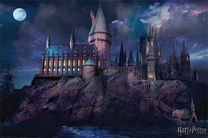 Harry Potter Plakat Hogwart 61 x 91,5 cm