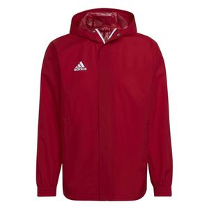 adidas Entrada 22 Allwetterjacke Herren tepore L