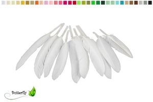 10 Entenfedern ca. 10-15cm, Farbauswahl:weiß 029