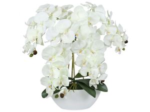 Umelá orchidea v kvetináči, écru, ako živá, 4 stonky 53 cm