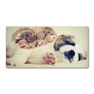 Tulup® Leinwandbild - 120x60 cm - Wandkunst - Drucke auf Leinwand - Leinwanddruck - Tiere - Braun - Zwei Katzen Hund