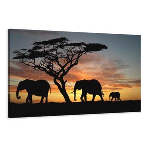 120 x 80 cm Bild auf Leinwand Afrika Elefant 5066-VKF deutsche Marke und Lager  -   fertig gerahmt , exklusive Markenware von Visario