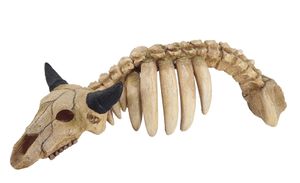 Tier-Skelett 34cm