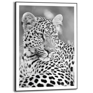 Gerahmtes Bild Slim Frame Leopard Süd Afrika - Safari - Gefleckt - Raubkatzen