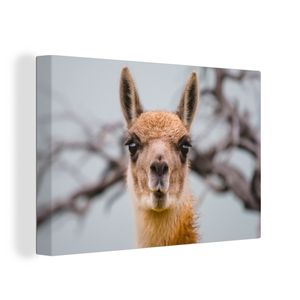 OneMillionCanvasses® - Leinwandbilder - 140x90 cm, Lama - Selfie - Boom, Wandbilder Kunstdruck Wanddekoration
