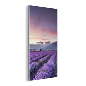 Glas-Bild Wandbilder Druck auf Glas 125x50 Deko Landschaften Lavendelfeld 