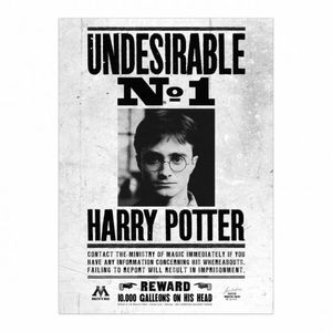 Harry Potter - Zarámovaný výtlačok na plátne "Undesirable No. 1" PM3556 (50 cm x 40 mm) (čierna/biela)