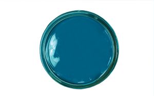 KAPS Professional Schuhpflege "Delicate Cream" - Schuhcreme & Pflegemittel zur Reinigung und Auffrischung von Naturleder Farbe: 158 - luftblau - air blue