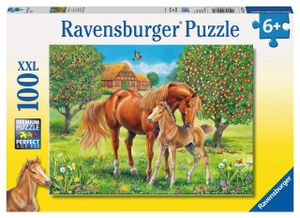 RAVENSBURGER Puzzle Koně na pastvině XXL 100 dílků