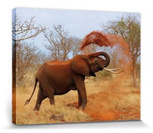Elefanten Poster Leinwandbild Auf Keilrahmen - Afrikanischer Elefant Nimmt Eine Sanddusche (40 x 50 cm)