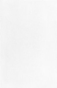 BELIANI Teppich Weiß Polyester 200 x 300 cm Rechteckig Hochflor Modern Maschinengetuftet Fußbodenheizung Geeignet Wohnzimmer Schlafzimmer Flur