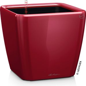 LECHUZA-Pflanzgefäß QUADRO Premium LS 50 Scarlet Rot Hochglanz | Pflanzgefäß mit Bewässerungssystem| Hochglanz-Oberfläche | 50 x 50 x 46,5 cm | 16287