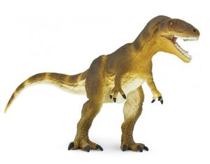 Safari S305229 - Carcharodontosaurus