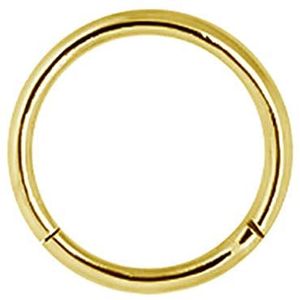 Karisma Edelstahl 316L Hinged Segmentring Charnier/Conch Clicker Ring Piercing Ohrring Stärke 1,2mm Farbwahl - 1,2x6mm | Gold