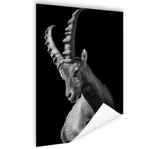 MuchoWow® Poster Schwarz-weißes Ziegenfoto 80x120 cm - Papierdruck