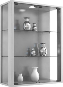 Vitrinenschrank Glas Wandschrank Vitrine Sammlervitrine Hängeschrank silber