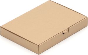 50 Maxibriefkartons Maxibrief DIN A4 B4 Kartons 350 x 250 x 50