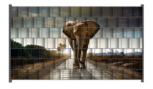 Wallario Zaunsichtschutz mit Motiv Elefant bei Sonnenaufgang in Afrika für Ein- und Doppelstabmatten Zäune in der Größe 250 x 140 cm