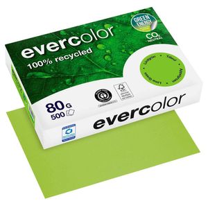 Clairefontaine Recyclingpapier Evercolor lindgrün DIN A4 80 g/qm 500 Blatt
