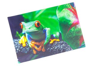 3 D Ansichtskarte Frosch, Postkarte Wackelkarte Hologrammkarte Tiere Tier Frösche