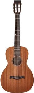 Richwood P-50 Mahagoni Master Series