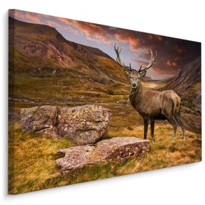 Fabelhafte Canvas LEINWAND BILDER 120x80 cm XXL Kunstdruck Berge Hirsch Wiese Steine