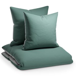 Sleepwise Bettwäsche 200x200 cm, Microfaser Bettwäsche  Getestet, Weicher Winter- und Sommer Bettbezug, Antistatisch & Atmungsaktiv, Allergiker Duvet Cover Bügelfrei, 1 Bett- & 1 Kissenbezug