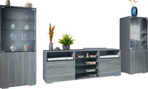 Vladon Wohnwand Granada, Anbauwand bestehend aus 2 Vitrinen und 1 TV-Board, Anthrazit matt/Avola-Anthrazit (286 x 122,5 x 35 cm)
