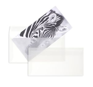 100 Transparente Briefumschläge Weiß 110x220 mm ( DIN Lang) mit Haftklebung