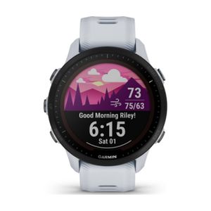 Garmin Forerunner 955 Solar steinweiss/schwarz