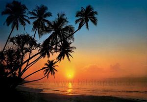 Poster, Fototapete Insel im Sonnenuntergang, 100x70cm