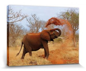 Elefanten Poster Leinwandbild Auf Keilrahmen - Afrikanischer Elefant Nimmt Eine Sanddusche (40 x 30 cm)
