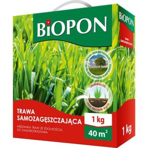 Nasiona trawnika SELF-REGENERUJĄCE Nasiona trawnika Nasiona trawnika 1kg