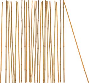 Welche Punkte es vor dem Bestellen die Blumenstab zu untersuchen gilt