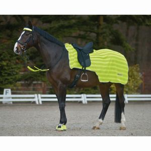 Waldhausen REFLEX Nierendecke neon gelb