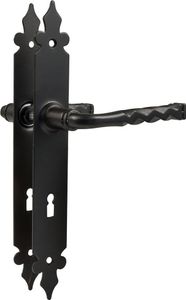 Türgriff Türklinke Türbeschlag aus Metall Schwarz matt auf Schild Buntbart