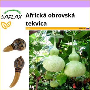 SAFLAX - Africká obrovská tekvica - Lagenaria siceraria - 15 Semená