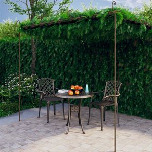 Duolm Garten-Pergola Antik-Braun 4x3x2,5 m Eisen