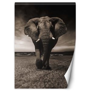Dunkler Elefant afrika FOTOTAPETE 200x280 cm VLIES Modern Tapete Wandtapete Wanddeko Wohnzimmer Schlafzimmer Flur Büro Küche T-4-TF-0589-200x280