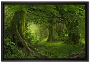 Dschungel im Regenwald Leinwandbild 60x40 cm im Bilderahmen | Wandbild  | Schattenfugenrahmen | Kein Poster