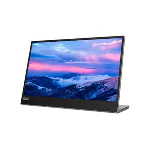 Lenovo L152 - LED-Monitor - Full HD (1080p) - 39.6 cm (15.6")