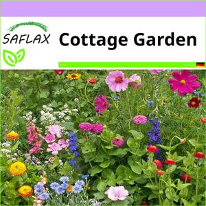 SAFLAX - Wildblumen: Cottage Garden - 1000 Samen - 21 Sorten