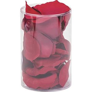 KNORR PRANDELL 217610998 Dekostreu Rosen Blatt 5-6 cm rot