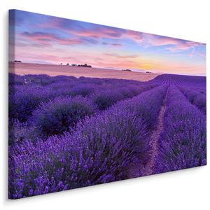 Fabelhafte Canvas LEINWAND BILDER 70x50 cm XXL Kunstdruck Natur Blumen Lavendel Feld