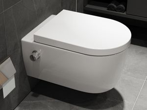 SSWW Taharet WC Inkl. Armatur und abnehmbarer Softclose Sitz Dusch-WC Hänge-WC Toilette mit Bidet-Funktion Hygienisch Alpha Spülrandlos 540 x 360 x 330 mm